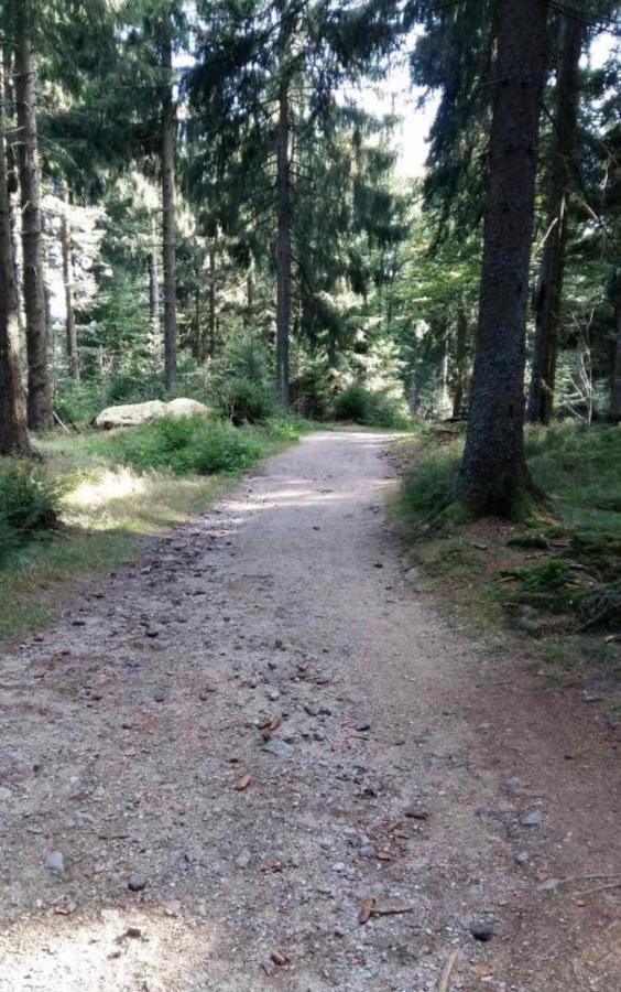 Bergerlebnis Natur Pur Sankt Englmar Dış mekan fotoğraf